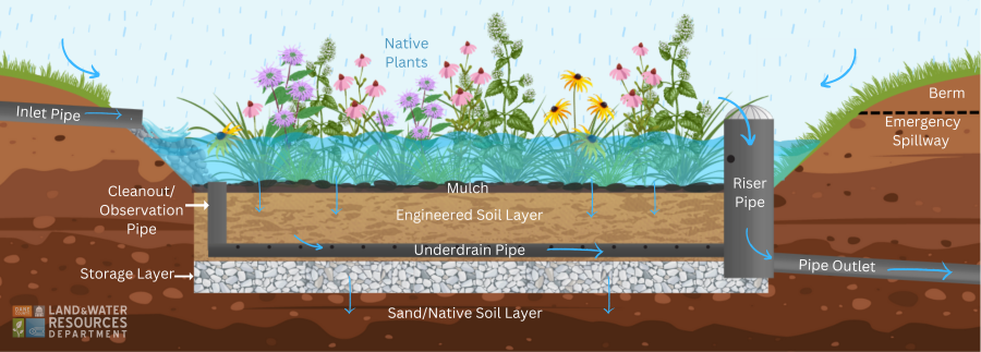 bioretention_basin.png bioretention_basin.png