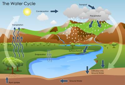 Figure 1: The hydrologic cycle
